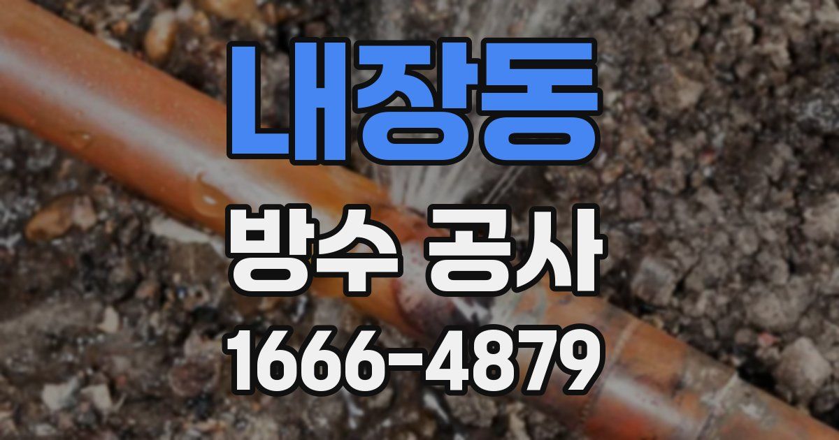 내장동 방수 공사
