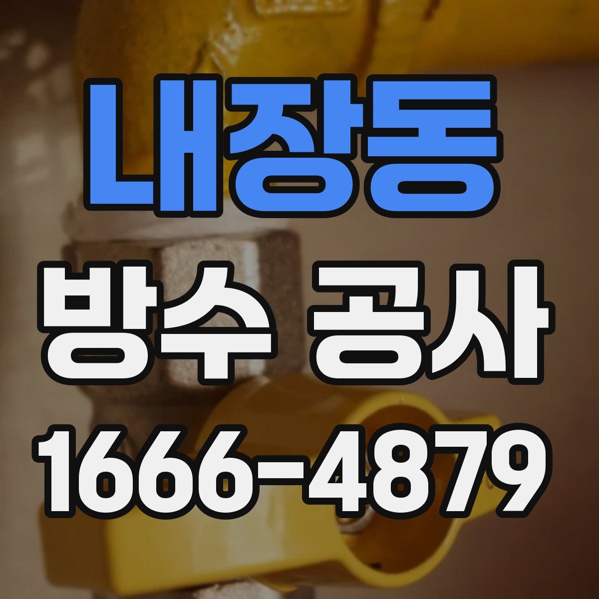 내장동 방수 공사