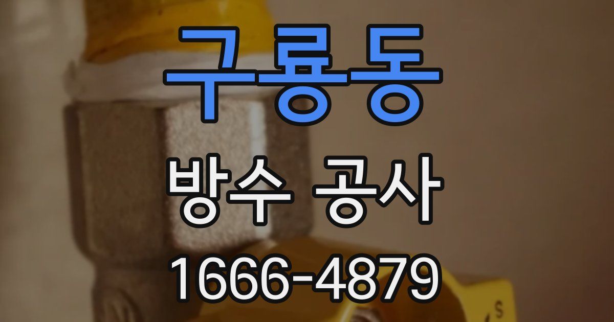 구룡동 방수 공사