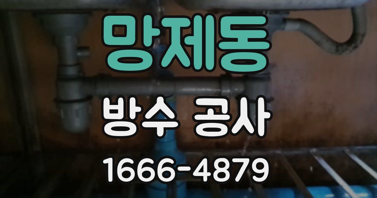 망제동 방수 공사