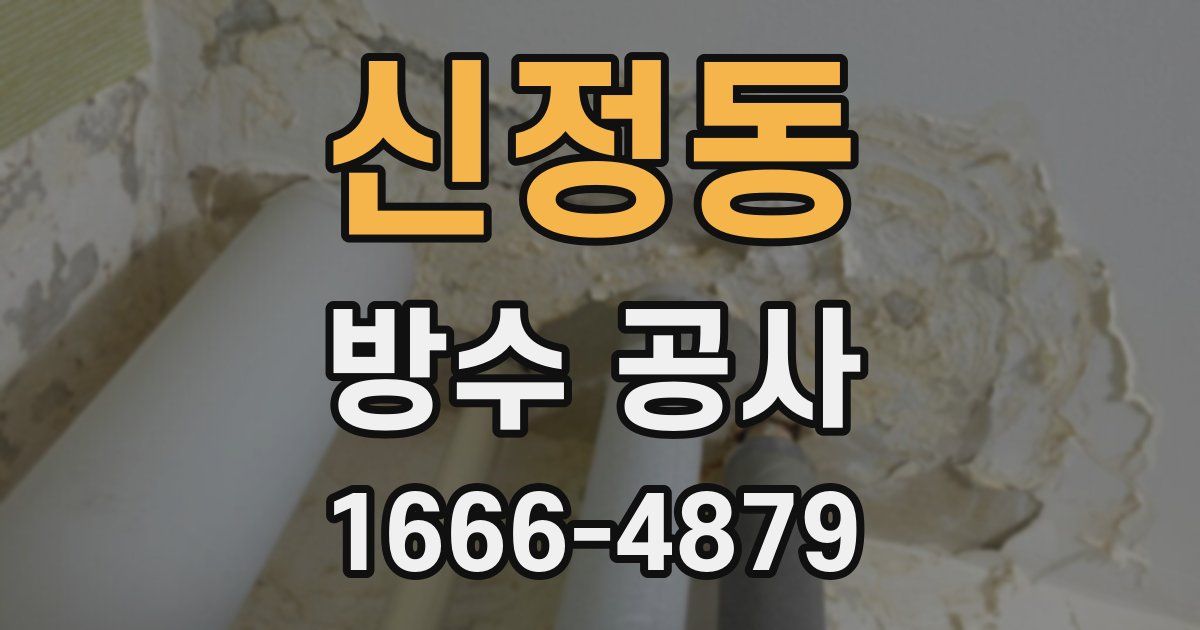 신정동 방수 공사