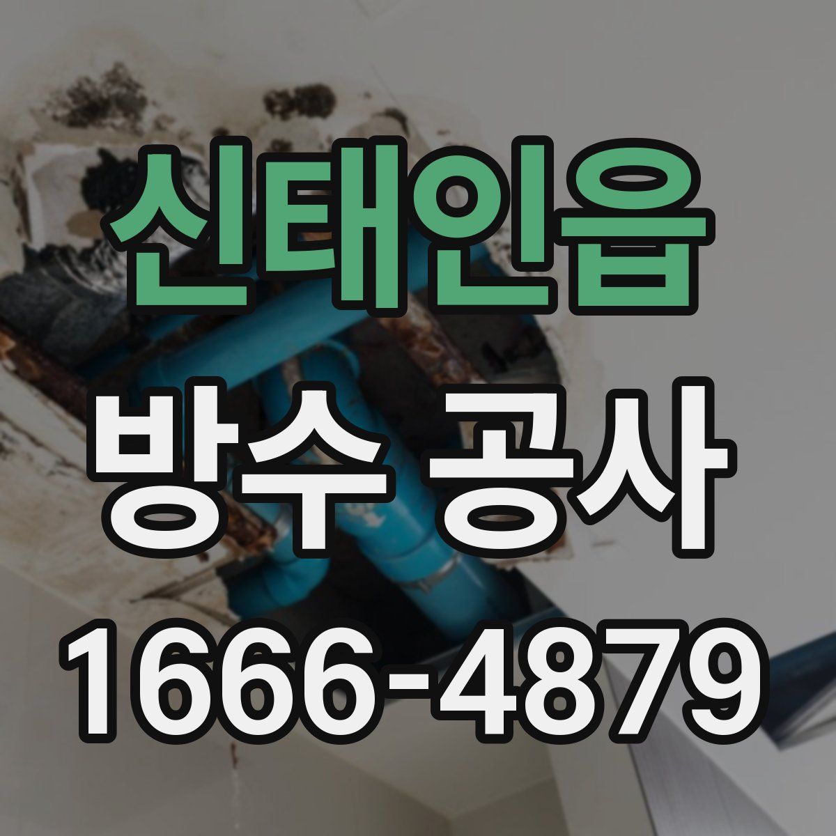 신태인읍 방수 공사