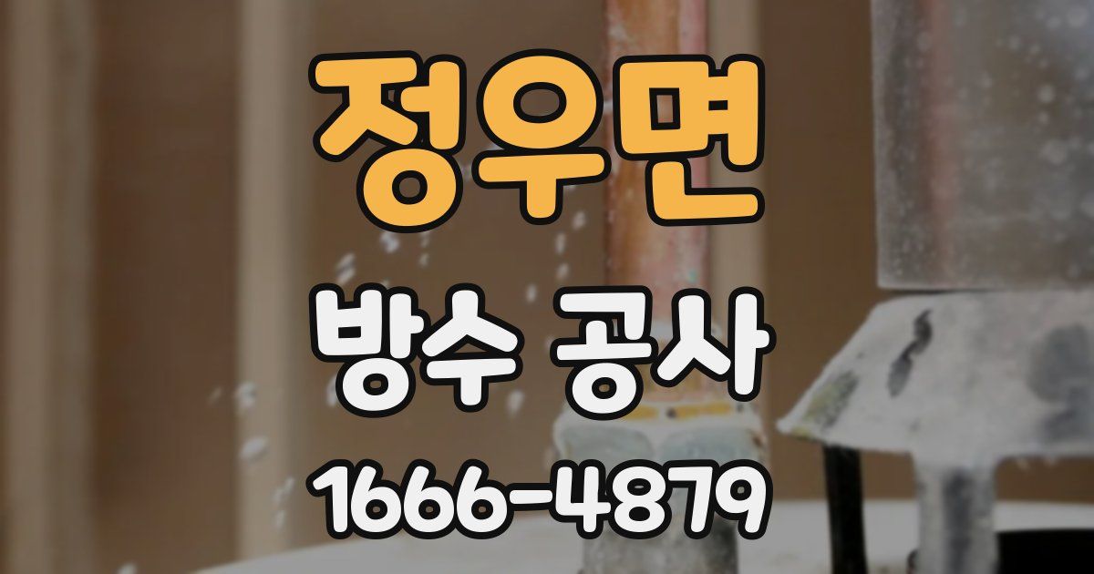 정우면 방수 공사