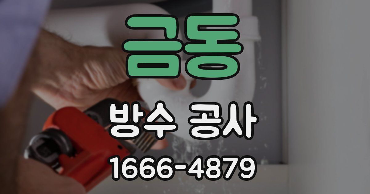 금동 방수 공사
