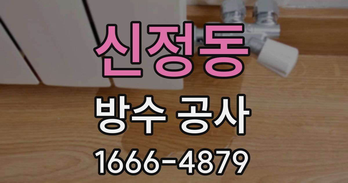 신정동 방수 공사