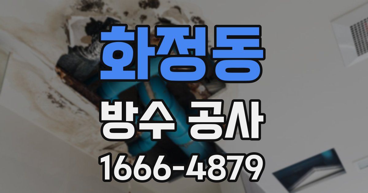 화정동 방수 공사