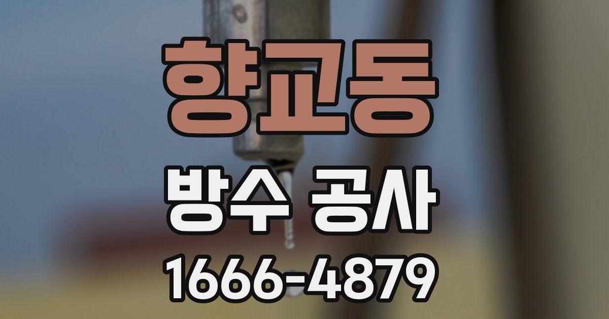 향교동 방수 공사