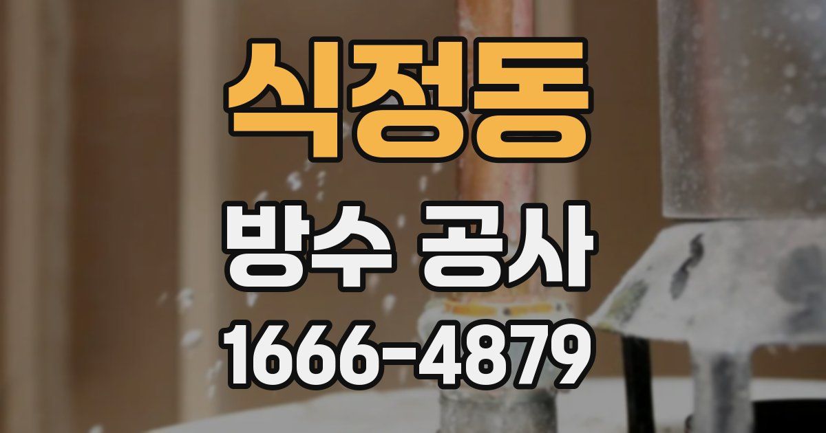 식정동 방수 공사