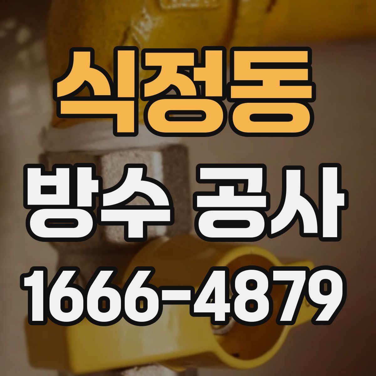 식정동 방수 공사
