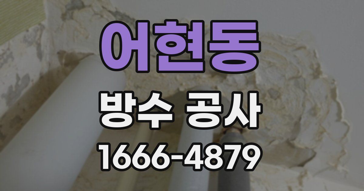 어현동 방수 공사