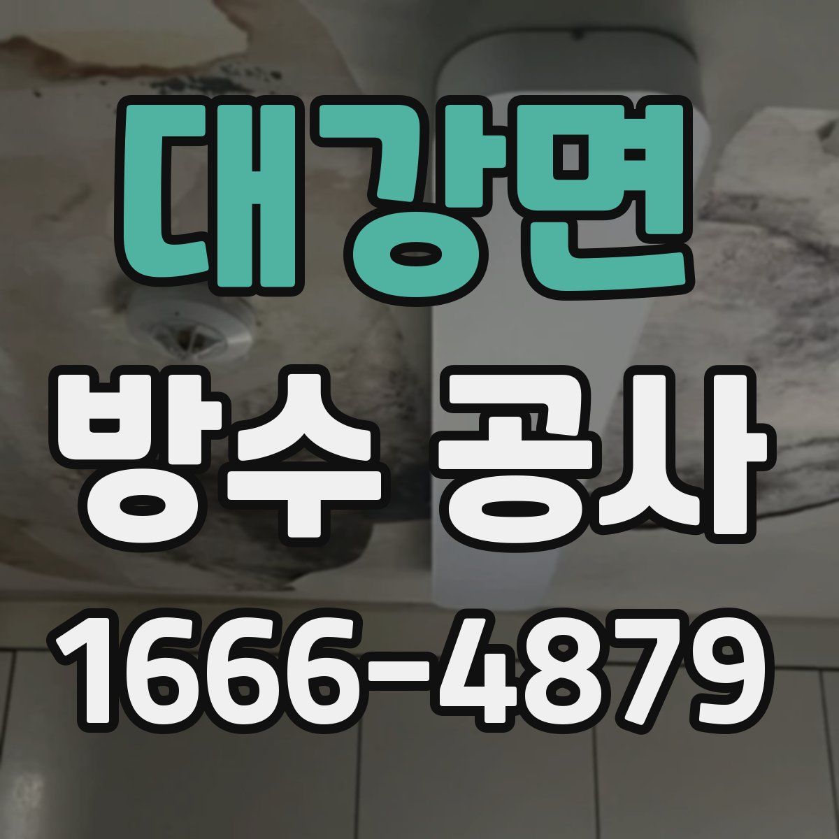대강면 방수 공사