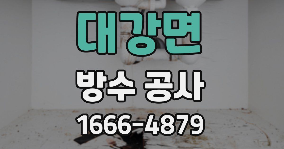 대강면 방수 공사
