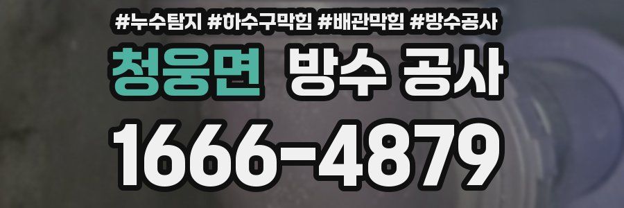 청웅면 방수 공사