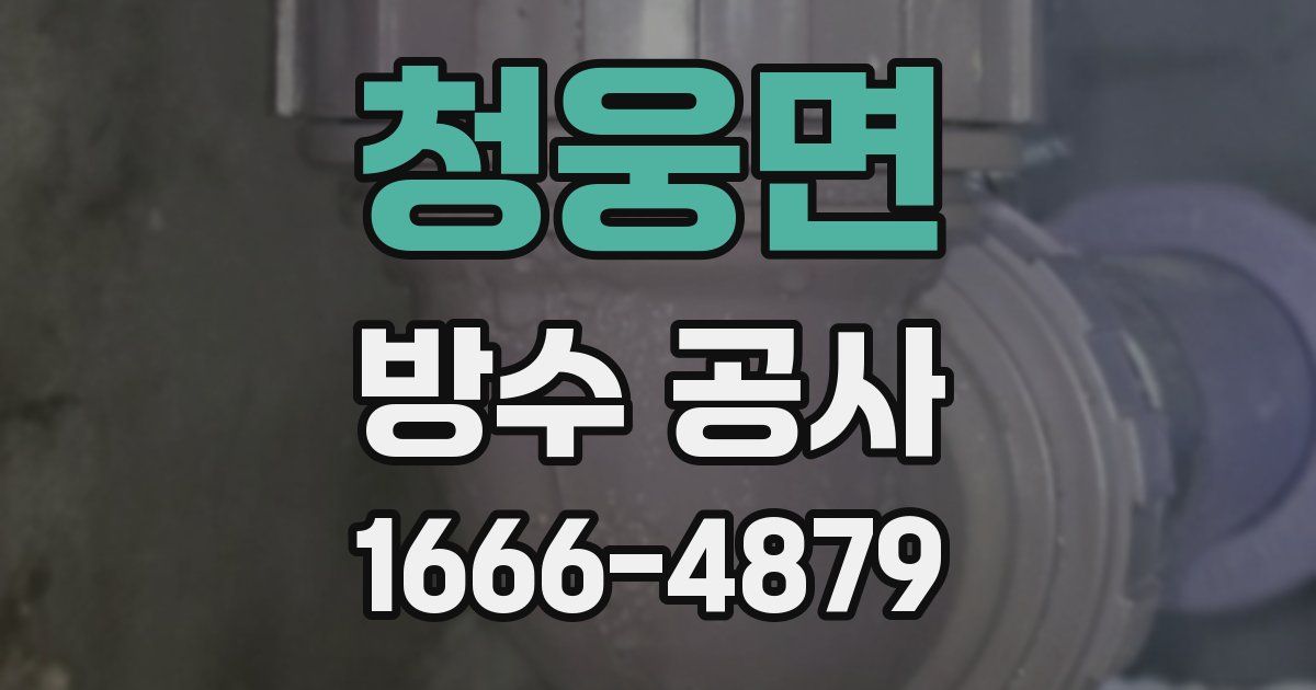 청웅면 방수 공사