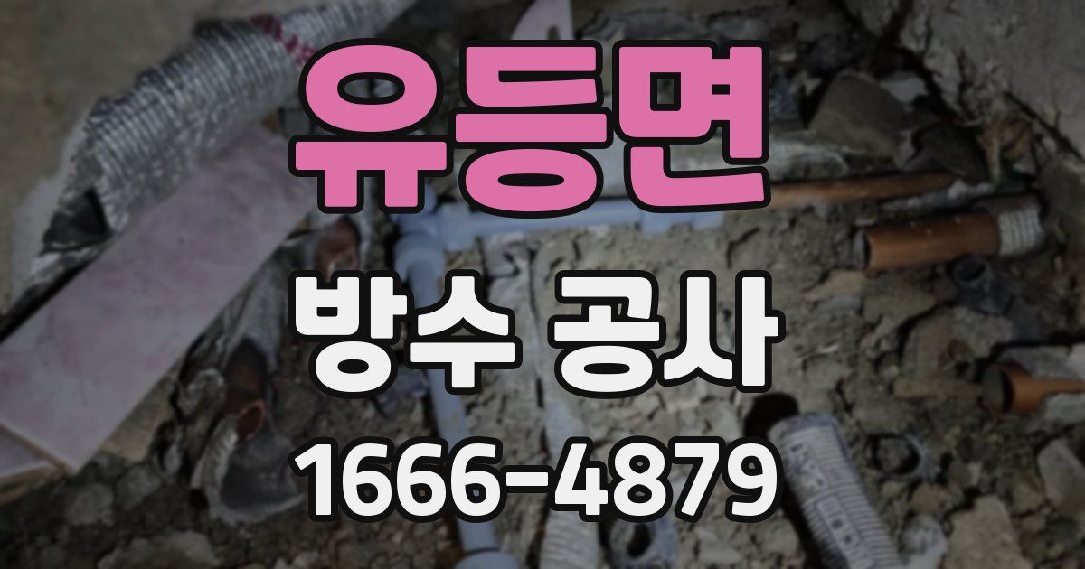 유등면 방수 공사