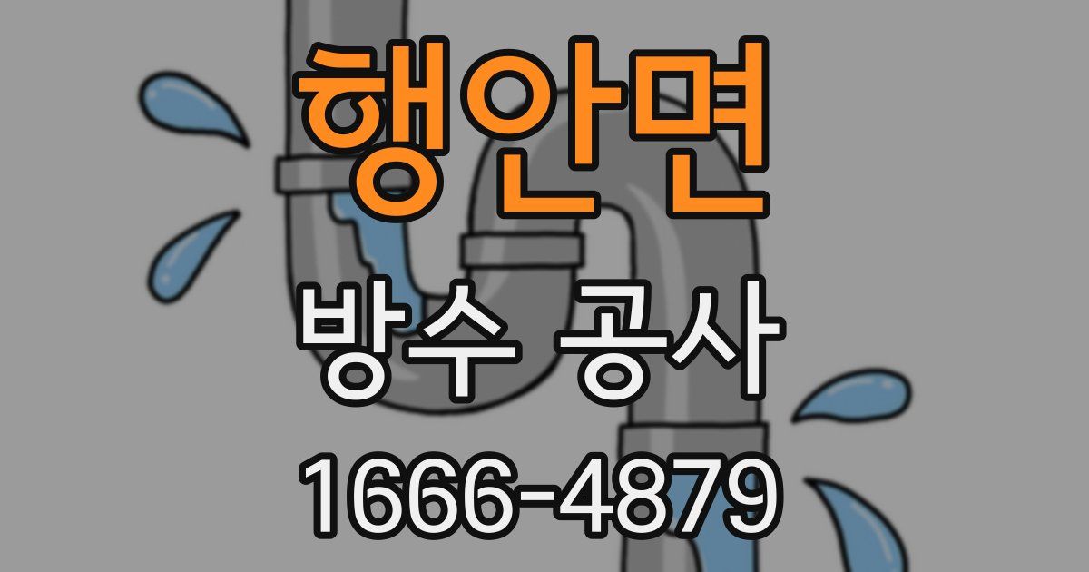행안면 방수 공사