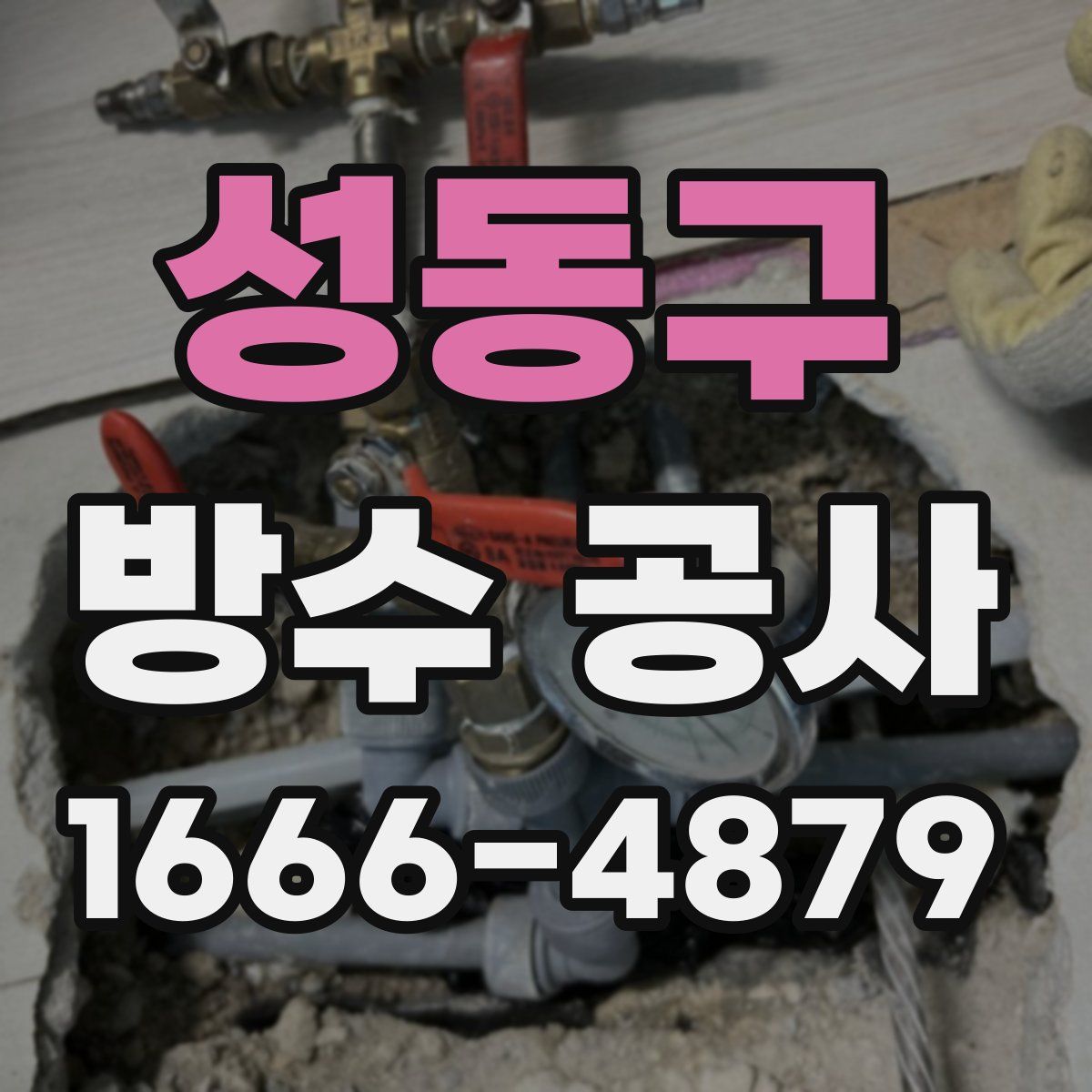 성동구 방수 공사