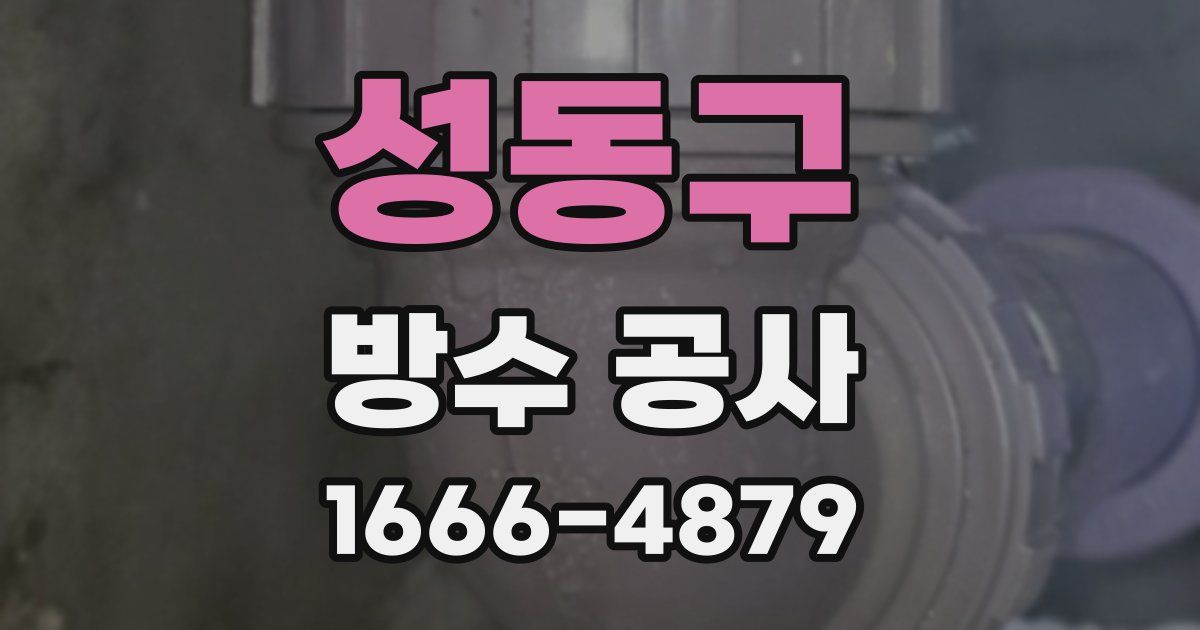 성동구 방수 공사