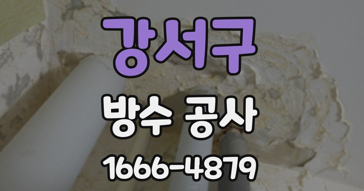 강서구 방수 공사