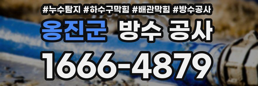 옹진군 방수 공사