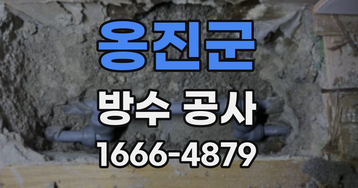옹진군 방수 공사