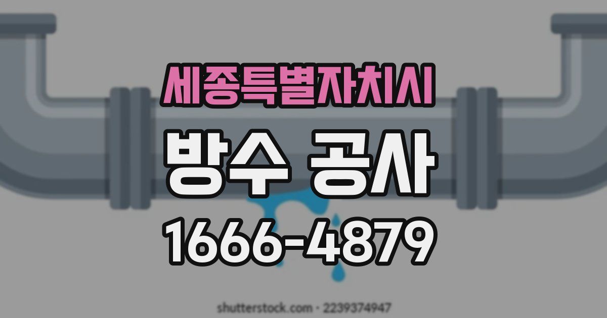 세종특별자치시 방수 공사