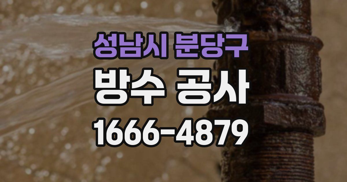성남시 분당구 방수 공사