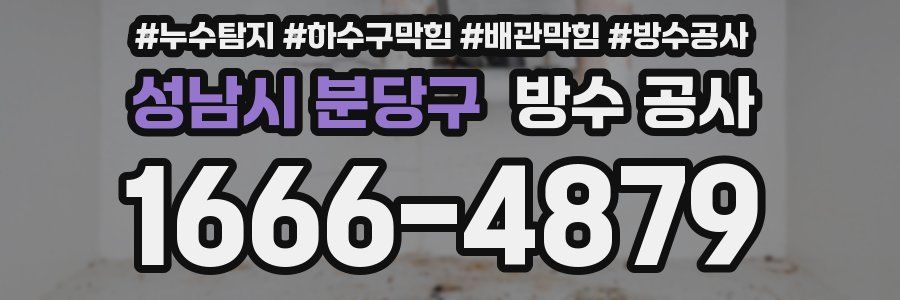 성남시 분당구 방수 공사