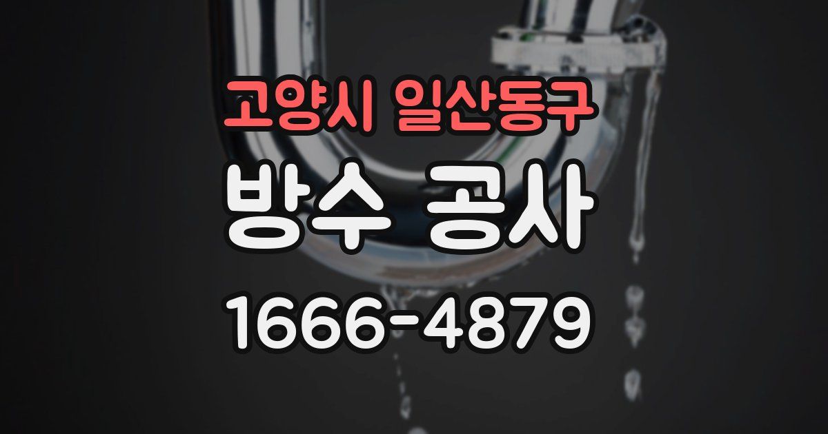 고양시 일산동구 방수 공사