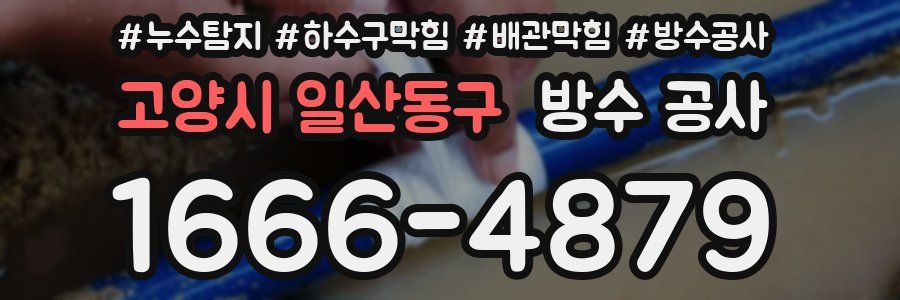 고양시 일산동구 방수 공사