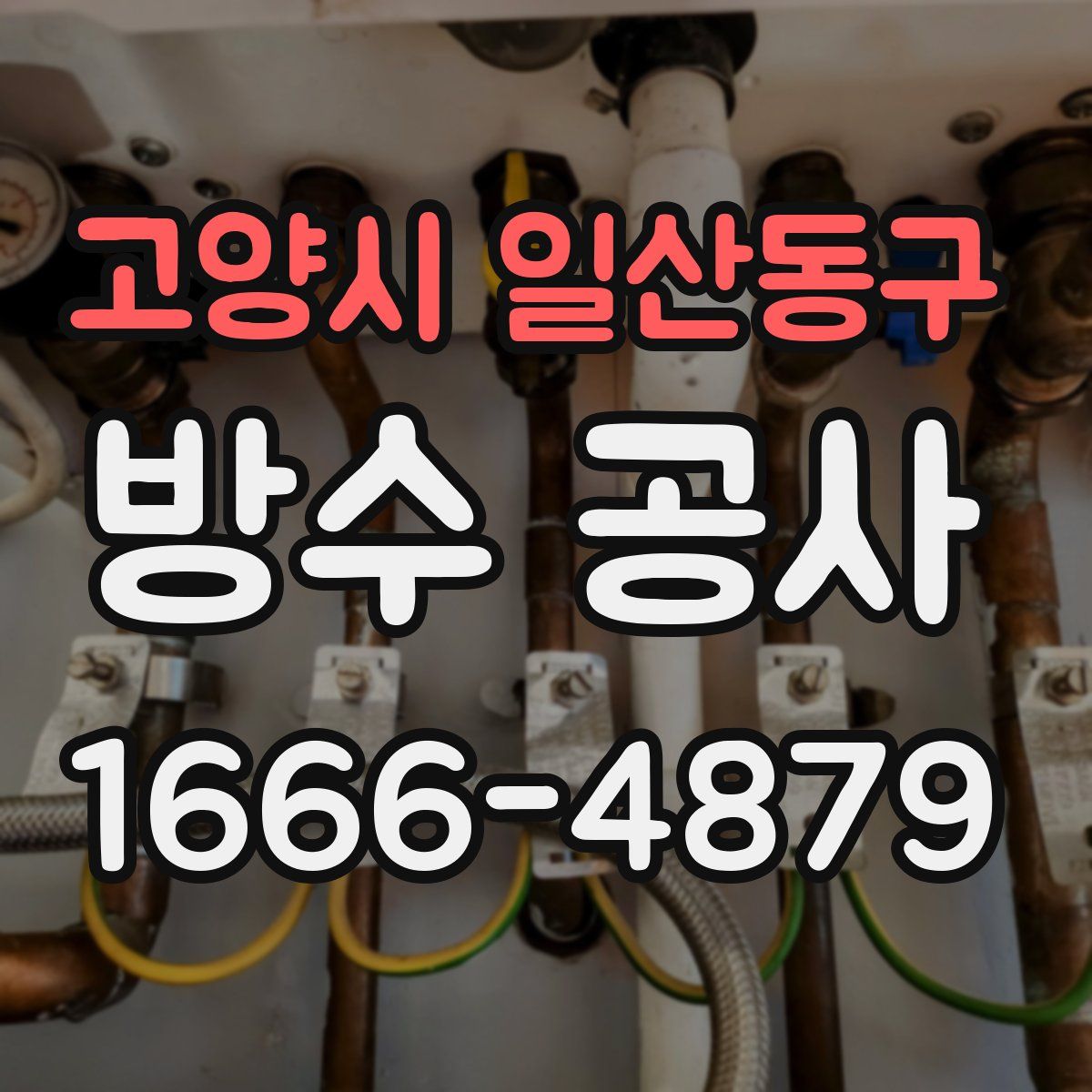 고양시 일산동구 방수 공사