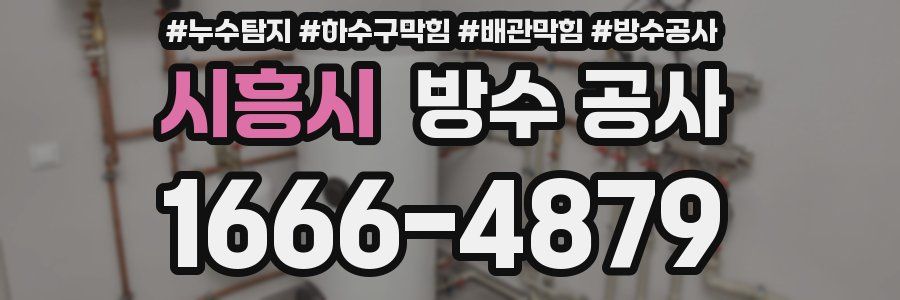 시흥시 방수 공사