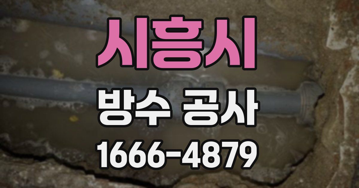 시흥시 방수 공사