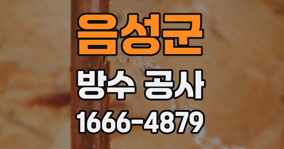 음성군 방수 공사