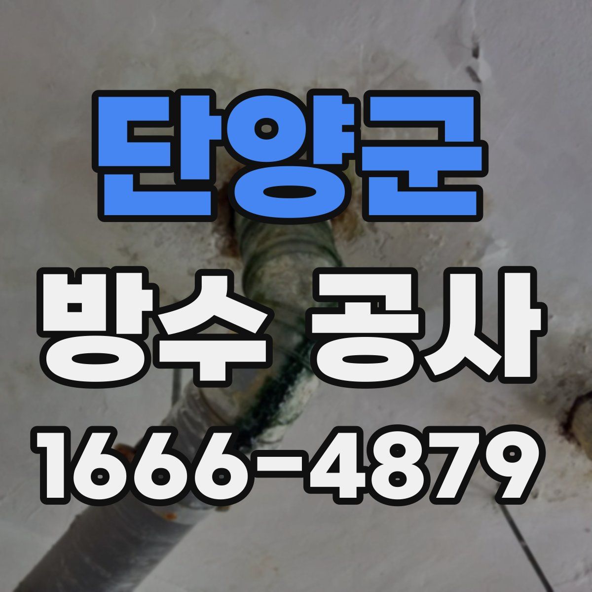 단양군 방수 공사