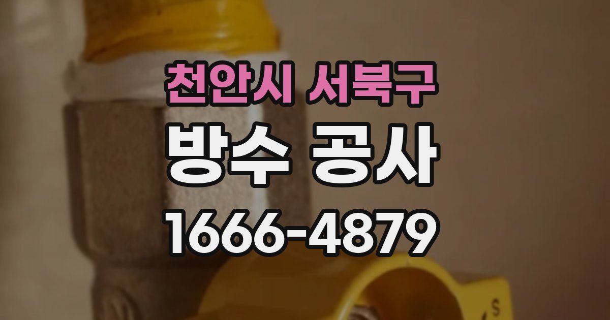 천안시 서북구 방수 공사