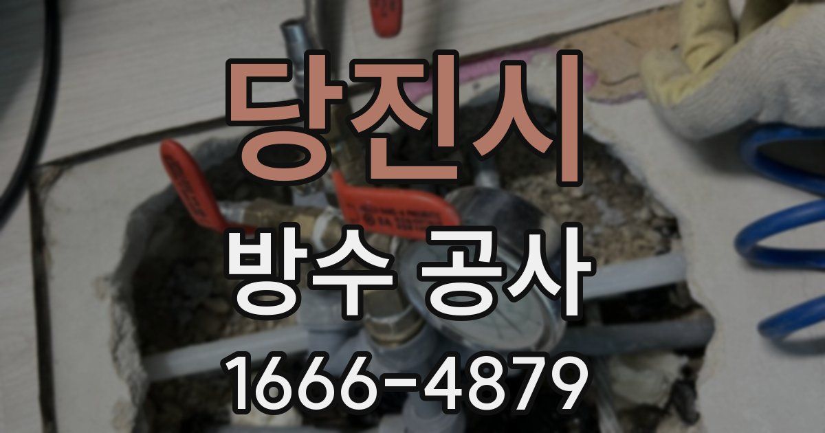 당진시 방수 공사