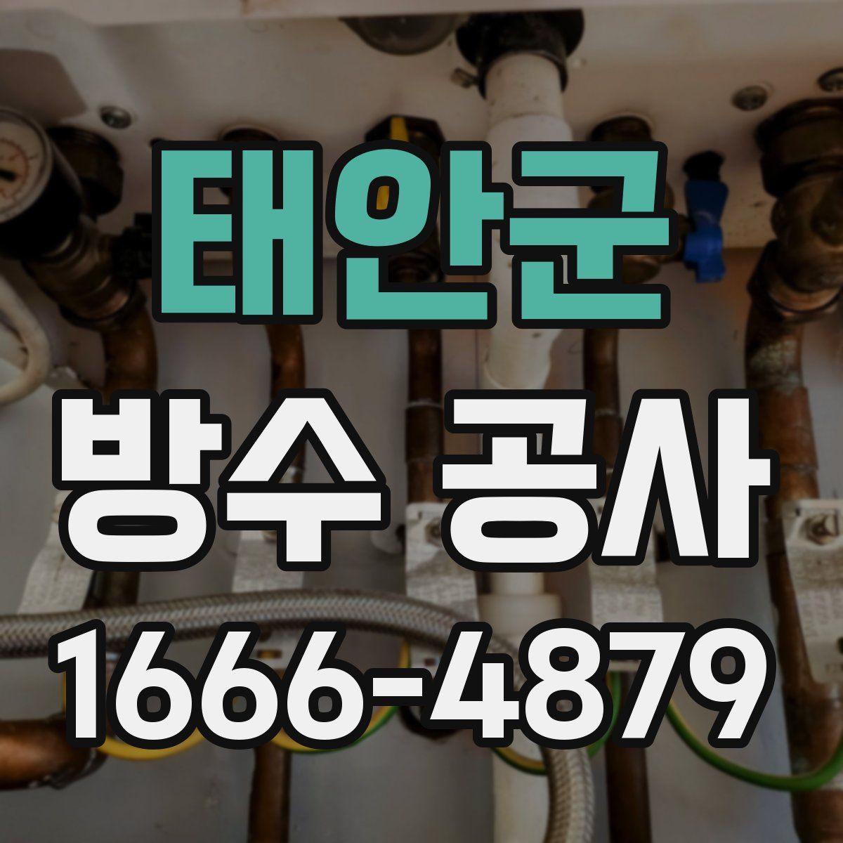 태안군 방수 공사