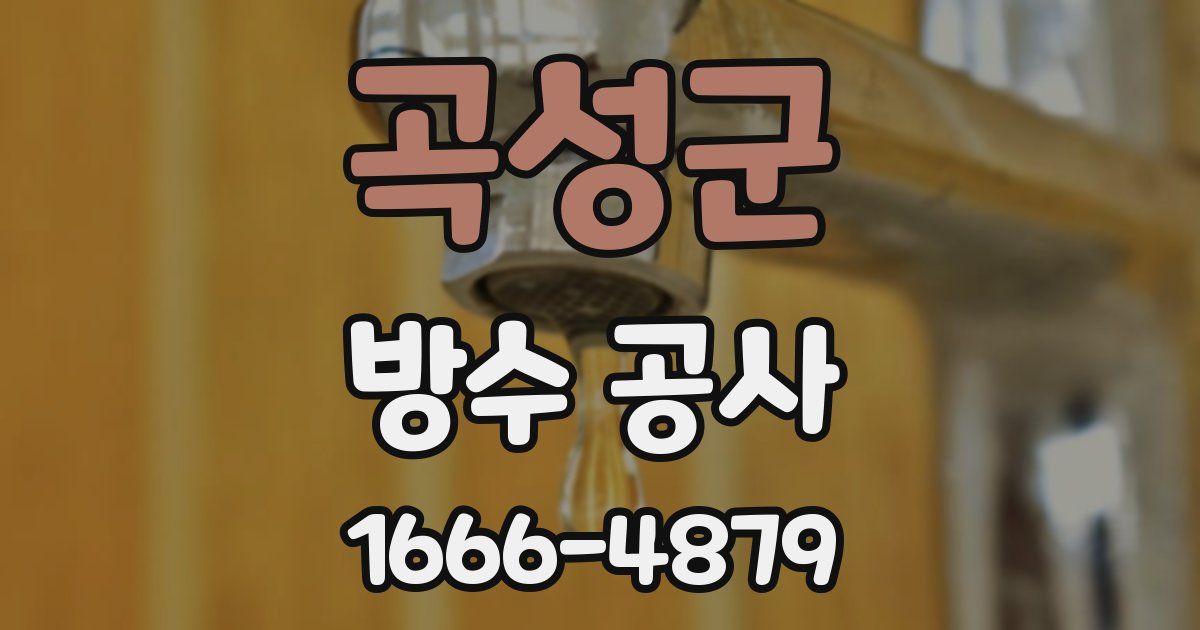 곡성군 방수 공사
