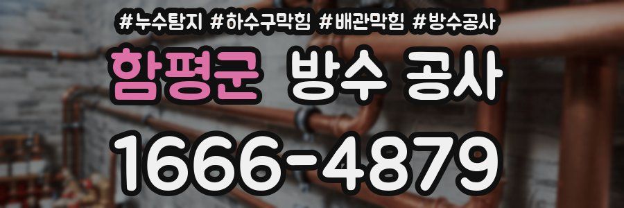 함평군 방수 공사