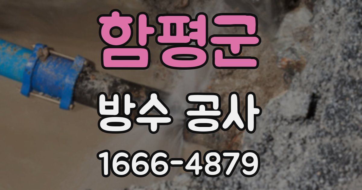 함평군 방수 공사