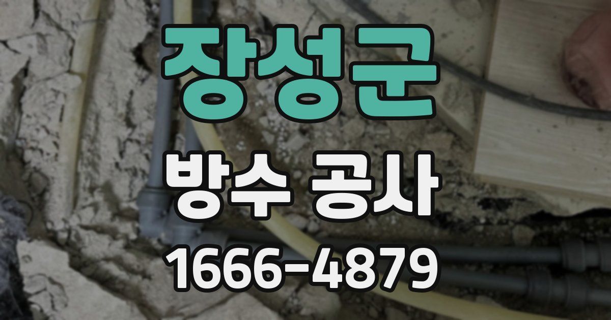 장성군 방수 공사