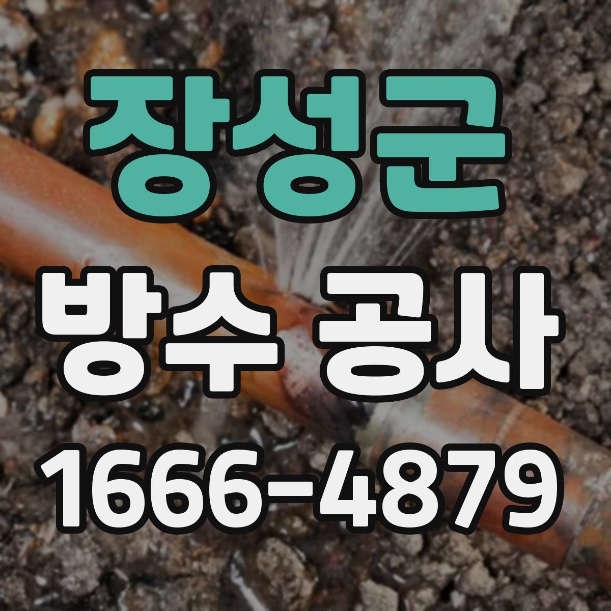 장성군 방수 공사