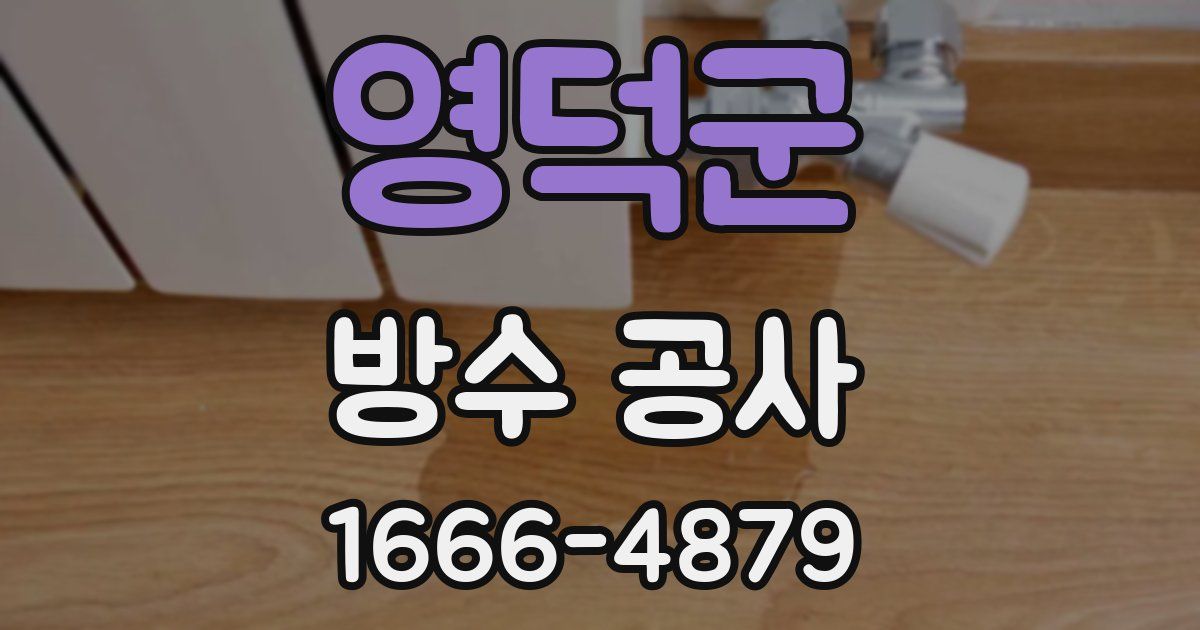 영덕군 방수 공사