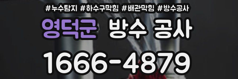 영덕군 방수 공사
