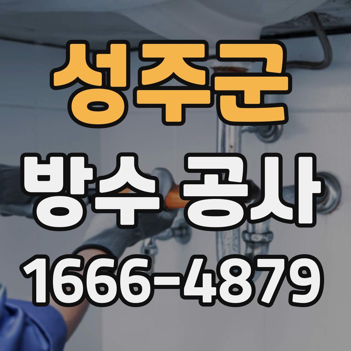 성주군 방수 공사
