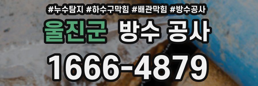 울진군 방수 공사