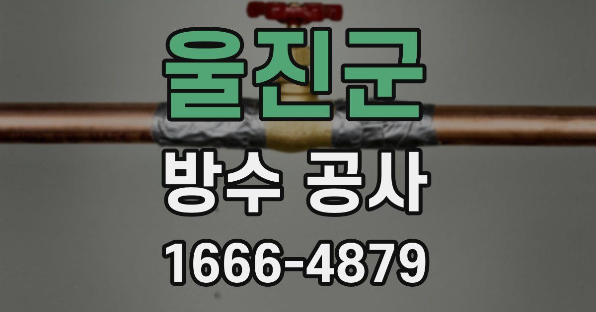 울진군 방수 공사