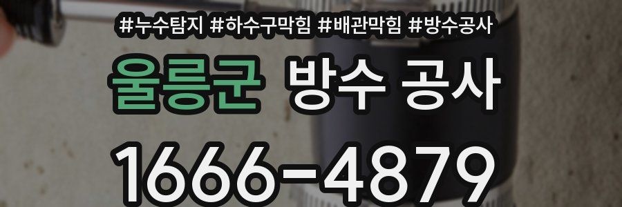 울릉군 방수 공사