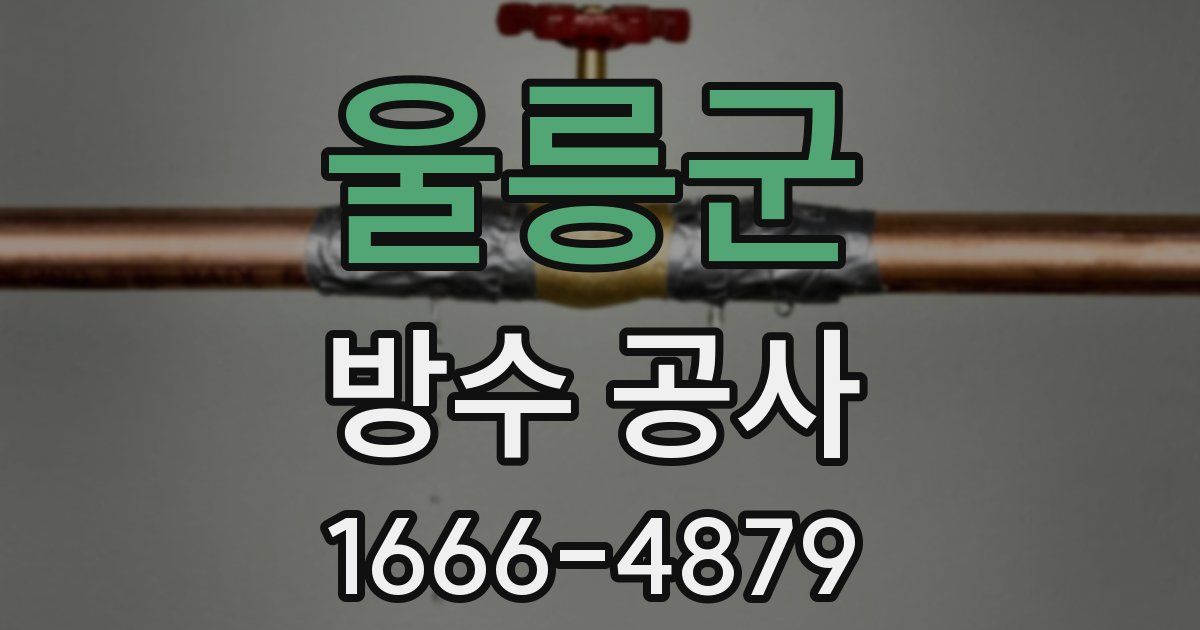 울릉군 방수 공사
